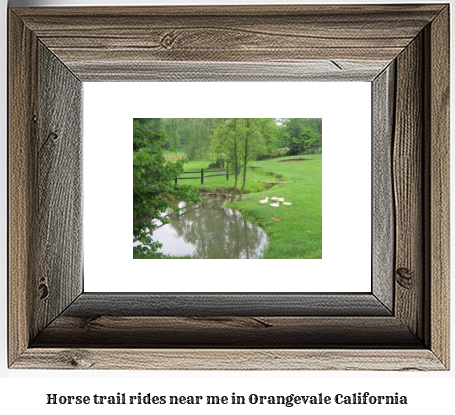 horse trail rides near me in Orangevale, California